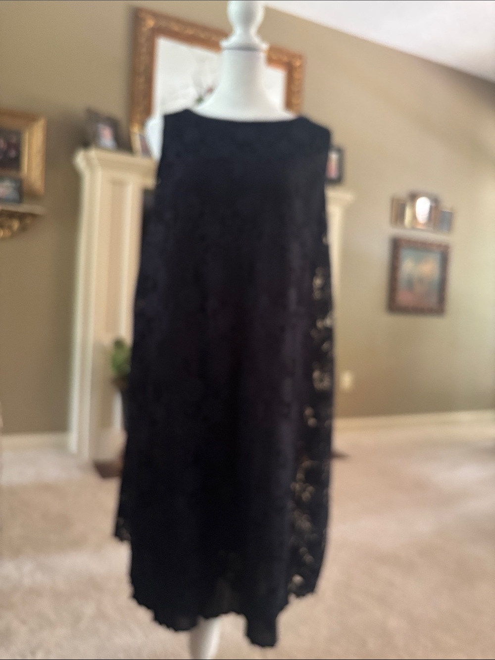 Navy Lace Sleeveless Shift Dress